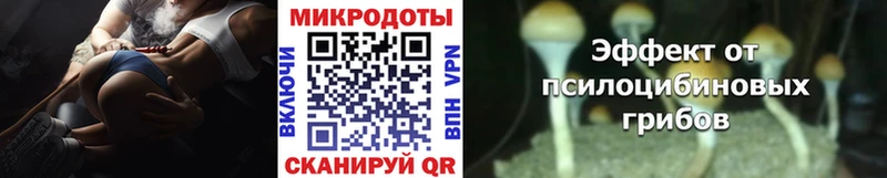 Галлюциногенные грибы Psilocybe  Купить  Можга 
